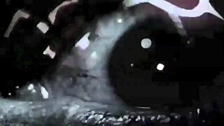 vintage erotic sketches with a sensual retro vibe for fans