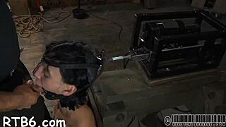 Gal in bunny outfit gets neck collar, legs spread for rough cock in tight pussy