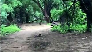 Big Boy Tries Hard To Please His Gay Partner With Monster Cock