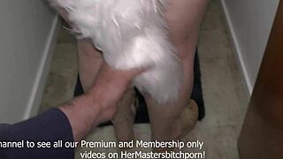 imagine pinning the tail on that submissive milf bitch while she sucks master's cock