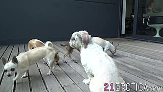 Wow, athletic vixen Akira May gets eaten out before wild doggystyle!