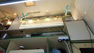 This crazy girl flashes upskirt at work for extra cash without a second thought