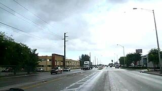 Homosexual sex on the move