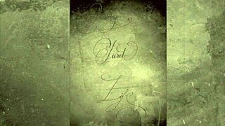 My Secret Life Unveils Vintage Bisexual Taboo in Wild Group