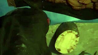 gay outdoor public encounter part two