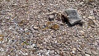 i was at the beach and found a random guy to fuck me, it was wild