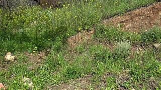 american tourist in saudi arabia shocked by second-hand dildo offer for gaping