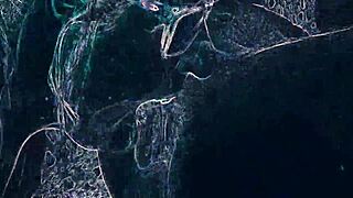 in the club, she dances and rims asshole before blowjob.