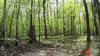 Beautiful Girl Fingers to Orgasm Near Birch in Forest