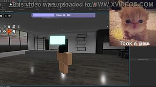 Condo showcase highlights silly activities in USA