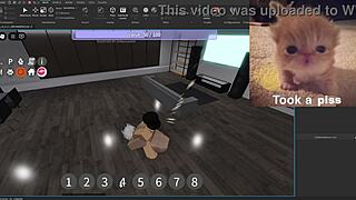 Condo showcase highlights silly activities in USA