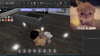 Condo showcase highlights silly activities in USA