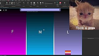 Condo showcase highlights silly activities in USA