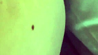 married neighbor fucks plumber boy