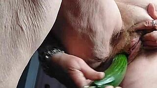 Granny Slut Fills Her Hairy Pussy with a Cucumber.