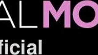 Hey Jackie, loving this quality time with anal and lingerie play, yeah?