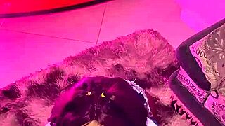 hijastra with big ass gets rough fucked by monster cock