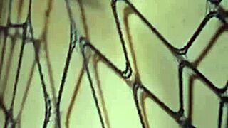 delicate skinny teen hands over her tight body to me. let’s do this!