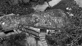 Young Ebony Girl with Small Tits Squirts on Big Cock