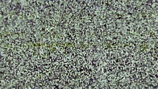 pornstar profiles ep 2 with cyrstal rae spotlight