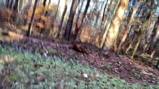 Clitlicker662 Flashes Naked in Public on Nov 26, 2024 Update