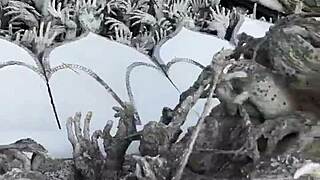 Yo, isn’t the White Temple in Chiang Rai just magical?