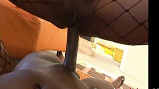 stacked ebony girl sucks and fucks monster cock