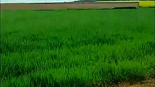 2025 04 22 Esclave F A La Ferme Pipe Uro