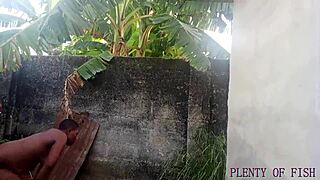 african ebony neighbors explore outdoor adventures in close-up