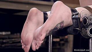 Blonde in doggy bondage gets caned hard!