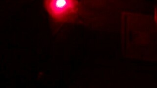 Cuckol 310315-5