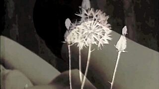 Check out two centuries of vintage porn?