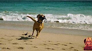 Lucy's Relaxing Beach Day Turns Into An Enf Adventure In This Ai-Generated Story 😊