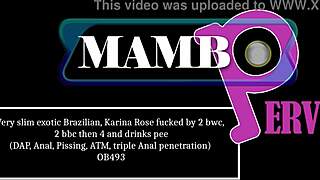 yo, karina rose, this slim brazilian, gets wrecked by multiple cocks in wild anal action!