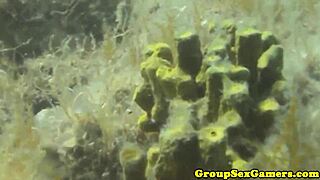 facialized babes on beach sucking dick