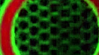 Teasing Brunette Jelena Jensen Masturbates Outdoors With Big Tits And Clit