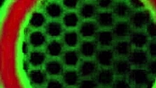 Alexa grandi gets covered by philly jhon after rough anal sex