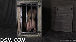 Bound Chick's Tight Pussy Shocked