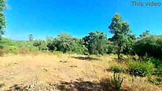 i got an internal creampie in the public forest while doggystyle camping