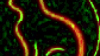 new age threesome with sluty red cat - milkingtable & sexmachine fucking wildly