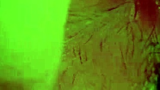 Tight asshole of my step sibling