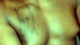 Scorpio Zodiac Wolf Makes Mess in Underwear Room