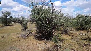 Savannah Vixen enjoys outdoor amateur moments.