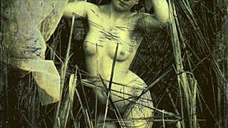 Dark Lantern Entertainment shares tales from two centuries of vintage porn