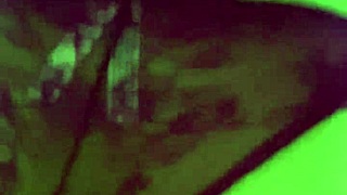 Que rica culona bent over in doggystyle