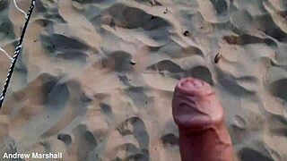 Sensational Beach Volleyball Now Digital. Everywhere