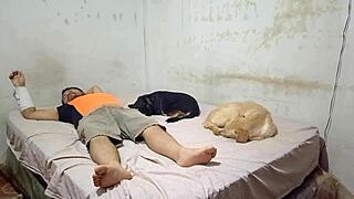 peruvian latina with small tits and big wet ass bends over for hardcore doggystyle fucking on her cousin's cock