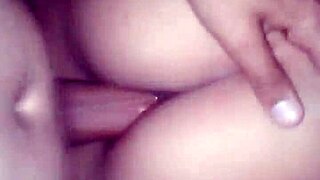 Dandole De Perrito En El Hotel