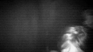 glory hole experience with a large cock in the swing