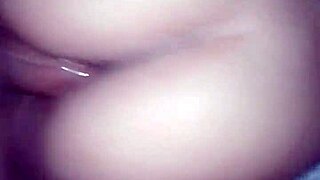 Dandole De Perrito En El Hotel